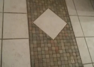 Professional Home Painter