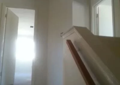 Professional Painting Services